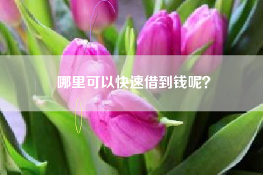 哪里可以快速借到钱呢？