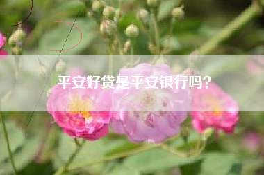 平安好贷是平安银行吗？