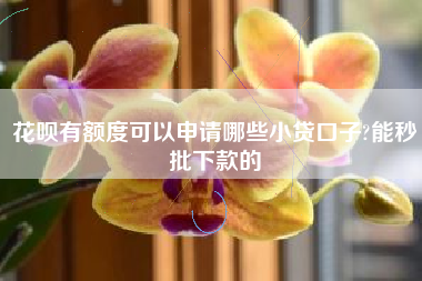 花呗有额度可以申请哪些小贷口子?能秒批下款的