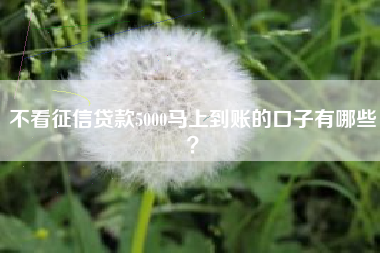 不看征信贷款5000马上到账的口子有哪些？