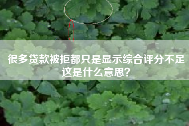 很多贷款被拒都只是显示综合评分不足这是什么意思？