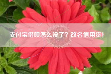 支付宝借呗怎么没了？改名信用贷！