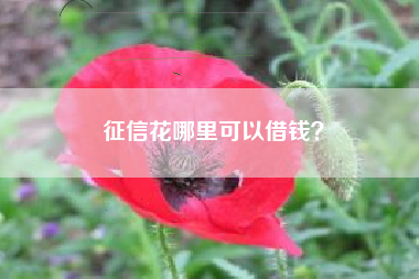 征信花哪里可以借钱？