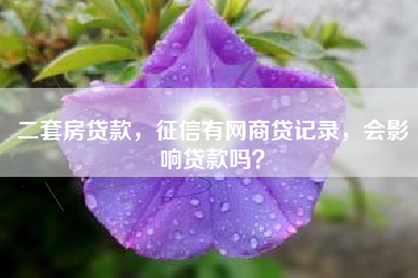 二套房贷款，征信有网商贷记录，会影响贷款吗？