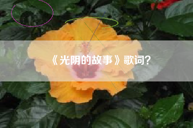 《光阴的故事》歌词？