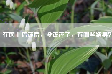 在网上借钱后，没钱还了，有哪些结果？