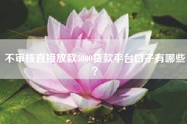 不审核直接放款5000贷款平台口子有哪些？