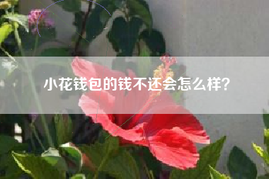 小花钱包的钱不还会怎么样？