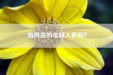 借网贷的年轻人多吗？