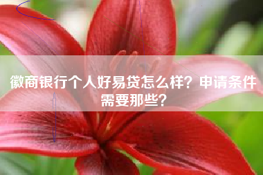 徽商银行个人好易贷怎么样？申请条件需要那些？