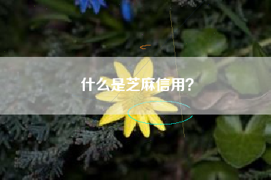 什么是芝麻信用？