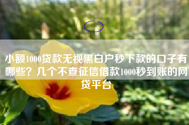 小额1000贷款无视黑白户秒下款的口子有哪些？几个不查征信借款1000秒到账的网贷平台