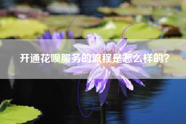 开通花呗服务的流程是怎么样的？