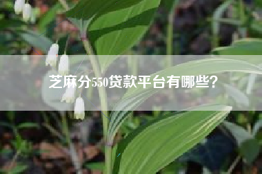 芝麻分550贷款平台有哪些？