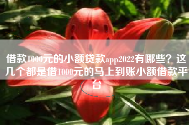 借款1000元的小额贷款app2022有哪些？这几个都是借1000元的马上到账小额借款平台