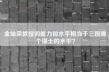 金灿荣教授的能力和水平相当于三国哪个谋士的水平？