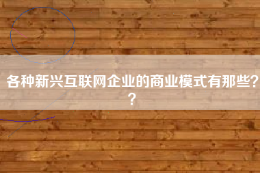 各种新兴互联网企业的商业模式有那些？？