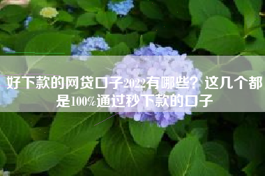 好下款的网贷口子2022有哪些？这几个都是100%通过秒下款的口子