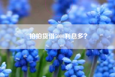 拍拍贷借5000利息多？