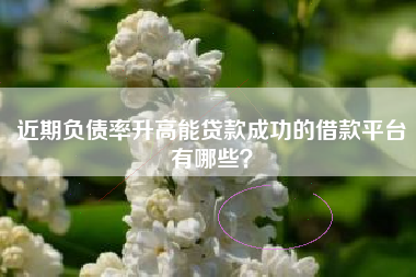 近期负债率升高能贷款成功的借款平台有哪些？