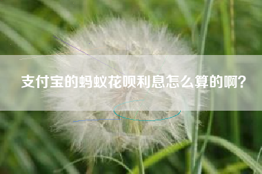 支付宝的蚂蚁花呗利息怎么算的啊？