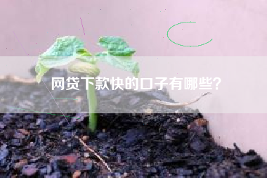 网贷下款快的口子有哪些？