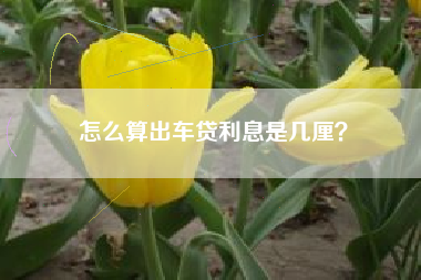 怎么算出车贷利息是几厘？