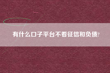 有什么口子平台不看征信和负债?