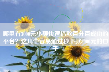 哪里有3000元小额快速借款百分百成功的平台？这几个容易通过秒下款3000元的口子