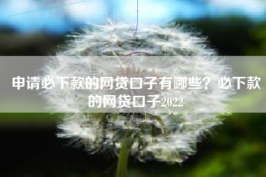 申请必下款的网贷口子有哪些？必下款的网贷口子2022