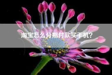 淘宝怎么分期付款买手机？