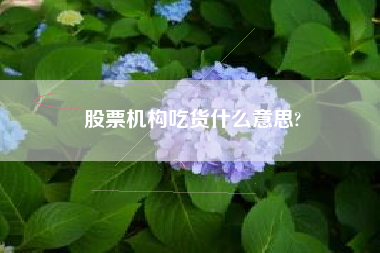 股票机构吃货什么意思?