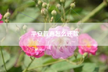 平安普惠怎么还款