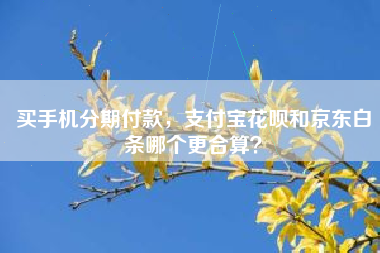 买手机分期付款，支付宝花呗和京东白条哪个更合算？