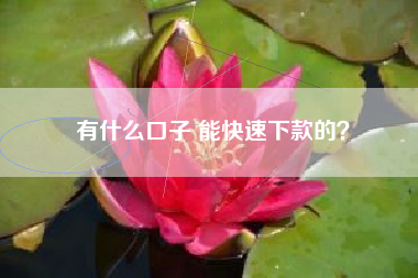 有什么口子 能快速下款的？