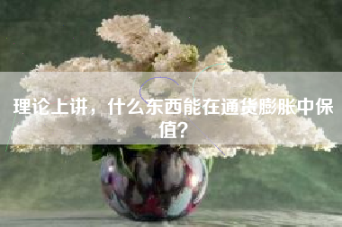 理论上讲，什么东西能在通货膨胀中保值？