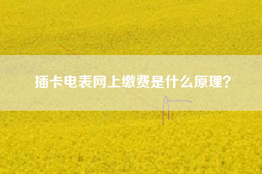 插卡电表网上缴费是什么原理？