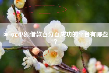 3000元小额借款百分百成功的平台有哪些？