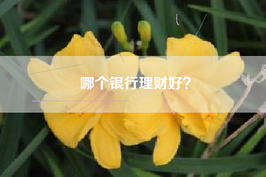 哪个银行理财好？