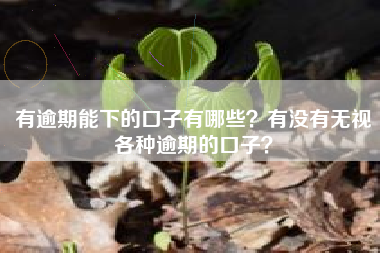 有逾期能下的口子有哪些？有没有无视各种逾期的口子？