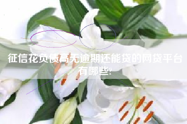 征信花负债高无逾期还能贷的网贷平台有哪些?