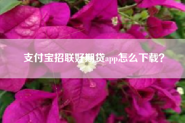 支付宝招联好期贷app怎么下载？