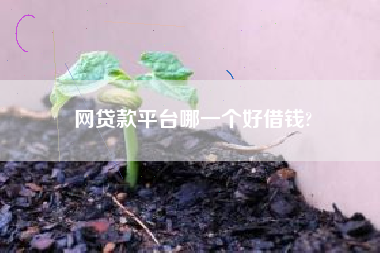 网贷款平台哪一个好借钱?