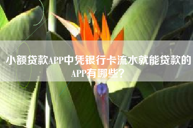 小额贷款APP中凭银行卡流水就能贷款的APP有哪些？