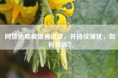 网贷逾期被爆通讯录，并持续骚扰，如何投诉？