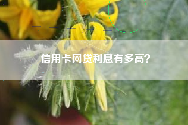 信用卡网贷利息有多高？