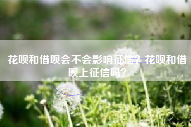 花呗和借呗会不会影响征信？花呗和借呗上征信吗？