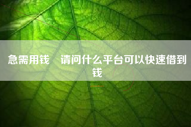 急需用钱 请问什么平台可以快速借到钱