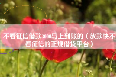 不看征信借款3000马上到账的（放款快不看征信的正规借贷平台）