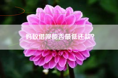 蚂蚁借呗能否最低还款？